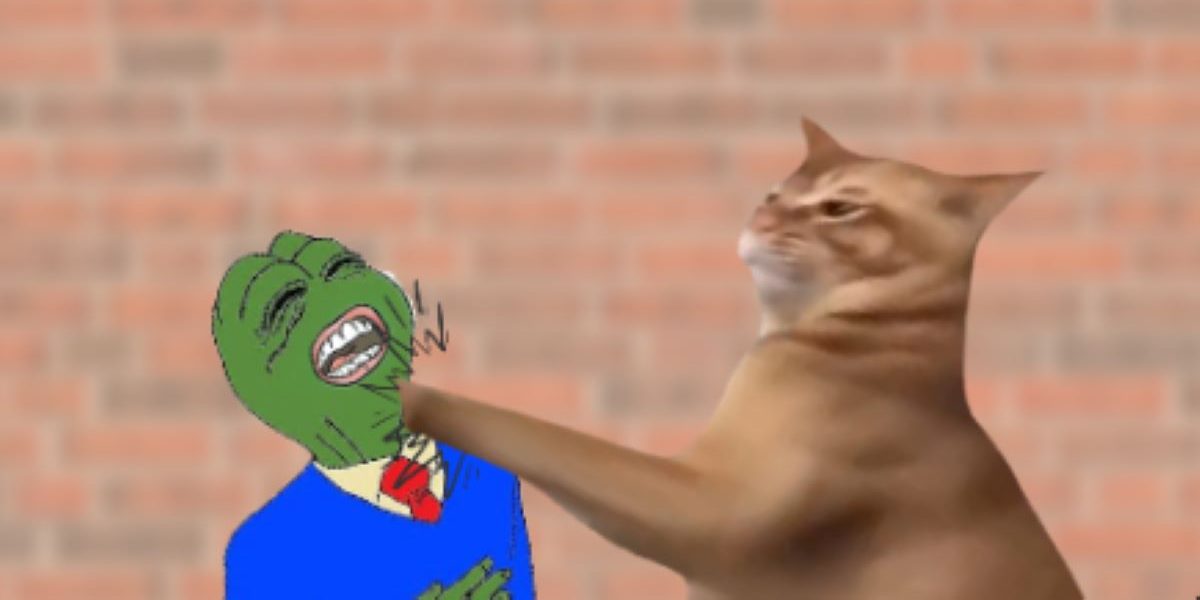 猫パンチ後