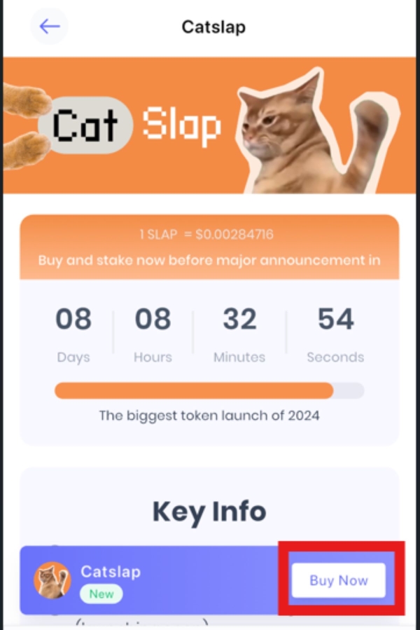 CatSlap購入ボタン