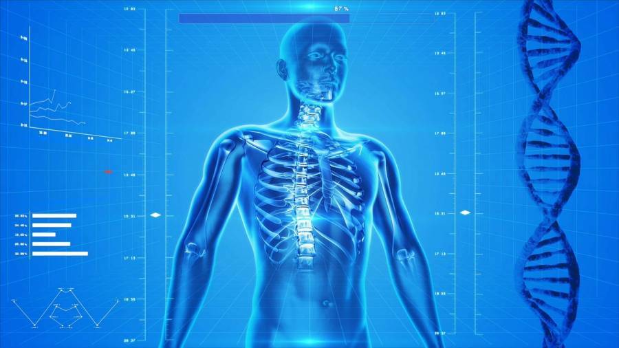 x ray of body using big data