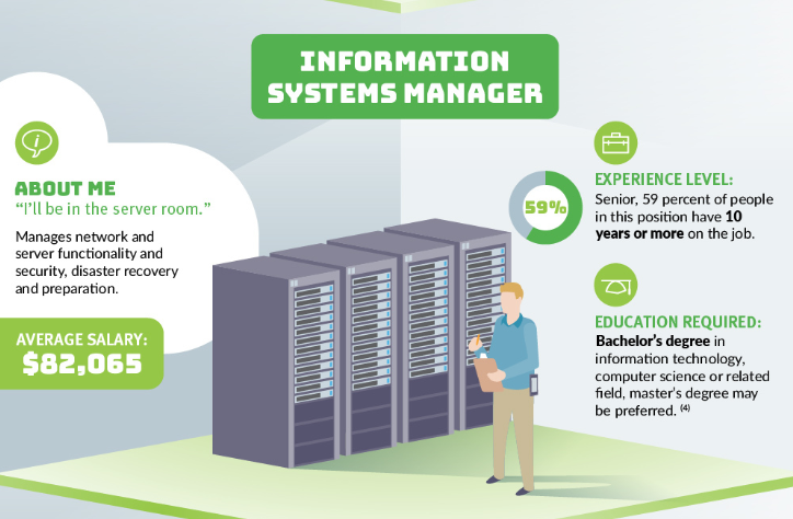 IT systems manager's job