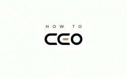 How to CEO Podcast Interview