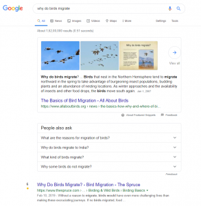 google result page