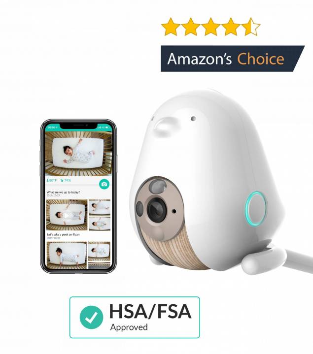 Smart Baby Monitor Review