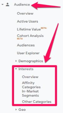 Google analytic audience segments