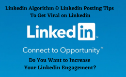 LinkedIn Posting Tips to Get Viral on LinkedIn