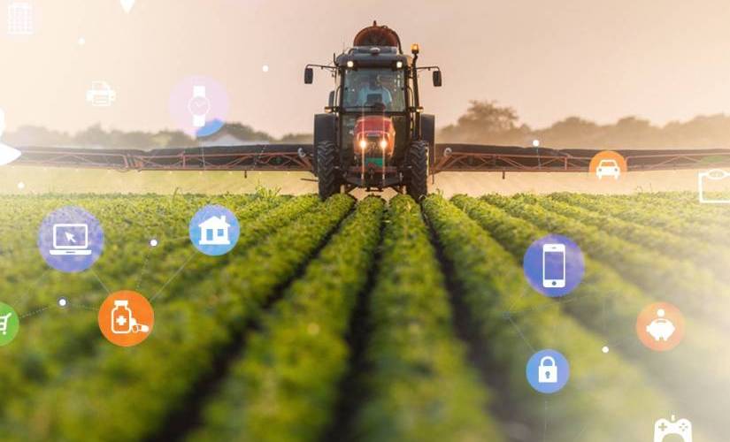 iot agriculture