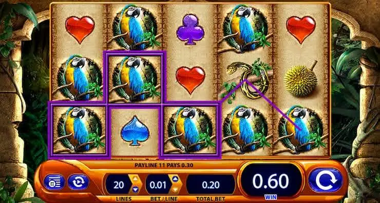 Amazon Queen Slot