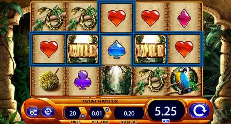 Amazon Queen Slot
