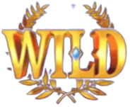 Wild Symbol