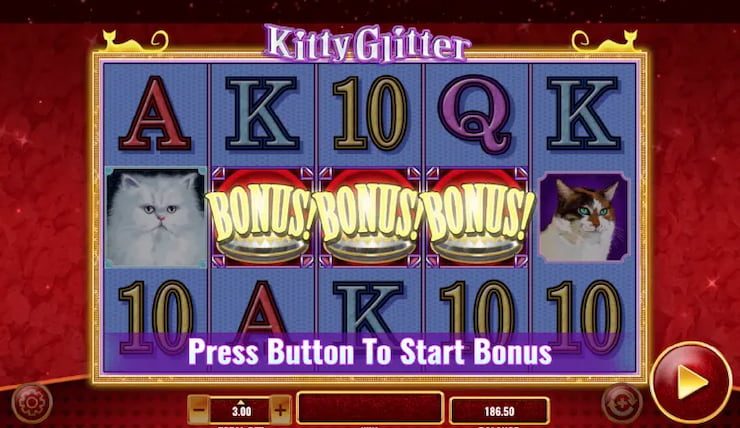 Trigger the Free Spins Bonus