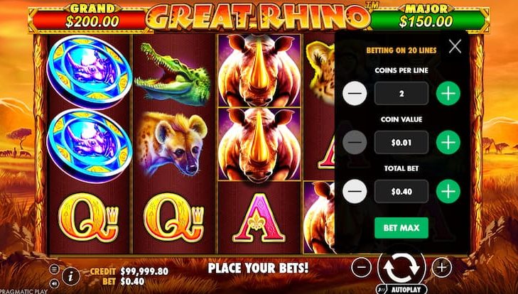 Step 1: Choose Your Bet and Coins Per Line