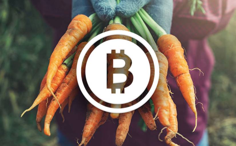 Is Blockchain Technology Optimizing the Supply Chain System in Food and Agriculture Industry? - readwrite.com
