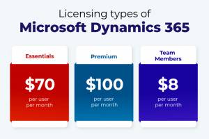 DYNAMICS 365 IMPLEMENTATION COST