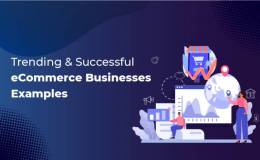 Successful eCommerce Businesses