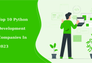 10 Python Development Companies