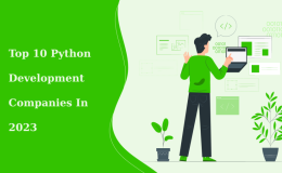 10 Python Development Companies