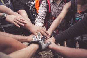 Trust-Building for Leader, Teams