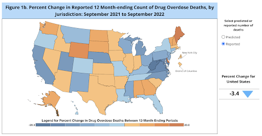 health statistics - drug overdose deaths map