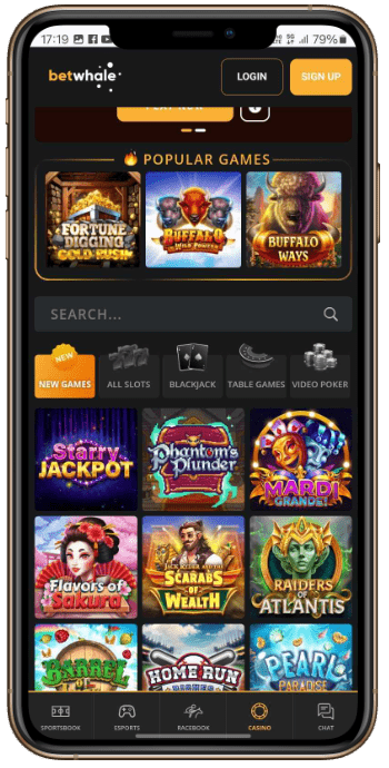 Online Games at BetWhale New York Casino