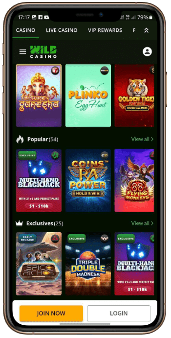 Wild Casino Gambling Site in NY 