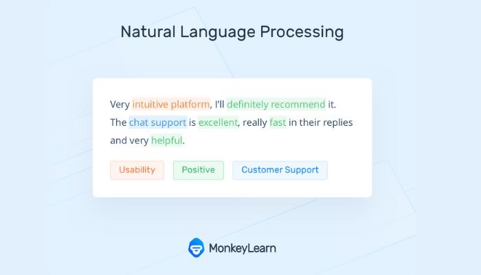 Natural langiage processing