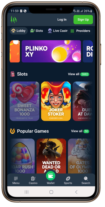 Wild.io Casino Games