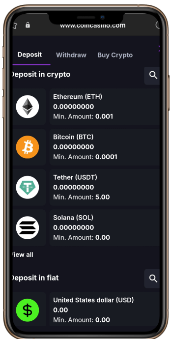Payment Methods at CoinCasino