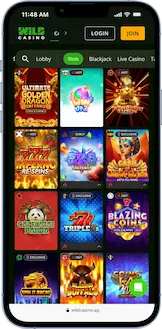wild casino slot games
