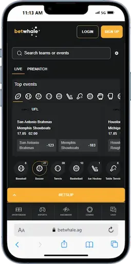 Offshore Sportsbook Betting at BetWhale