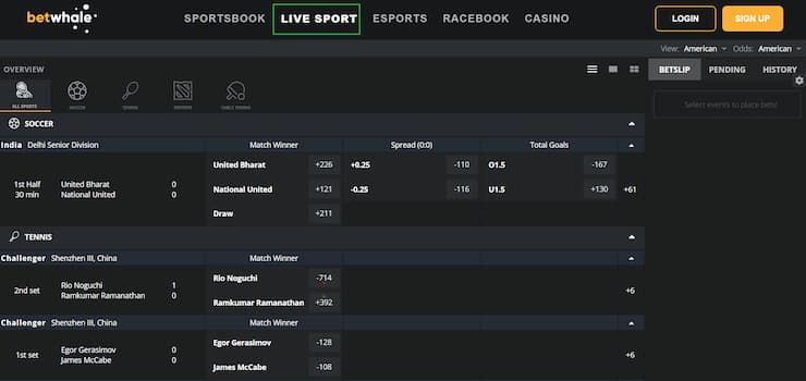 BetWhale Sportsbook Live Betting Interface