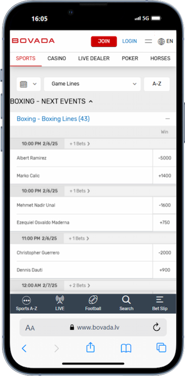 Bovada Boxing Betting