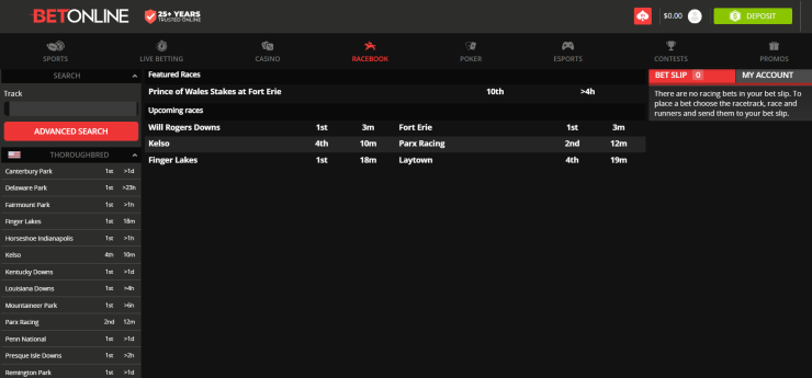 Racebook at BetOnline
