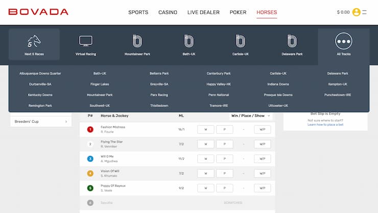 Bovada Sportsbook Review 2023 