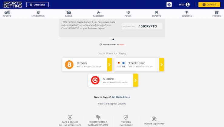 SportsBetting.ag Payment Methods