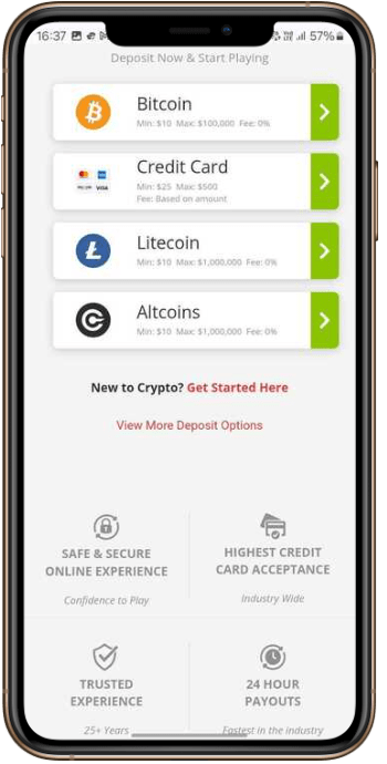 BetOnline Deposit Page