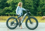 brawn e-bike