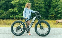 brawn e-bike