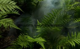 Amazon's new AI transcription
