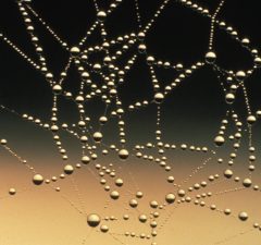 Fediverse social networking