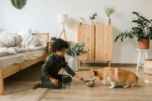 boy feeding dog pet necessities