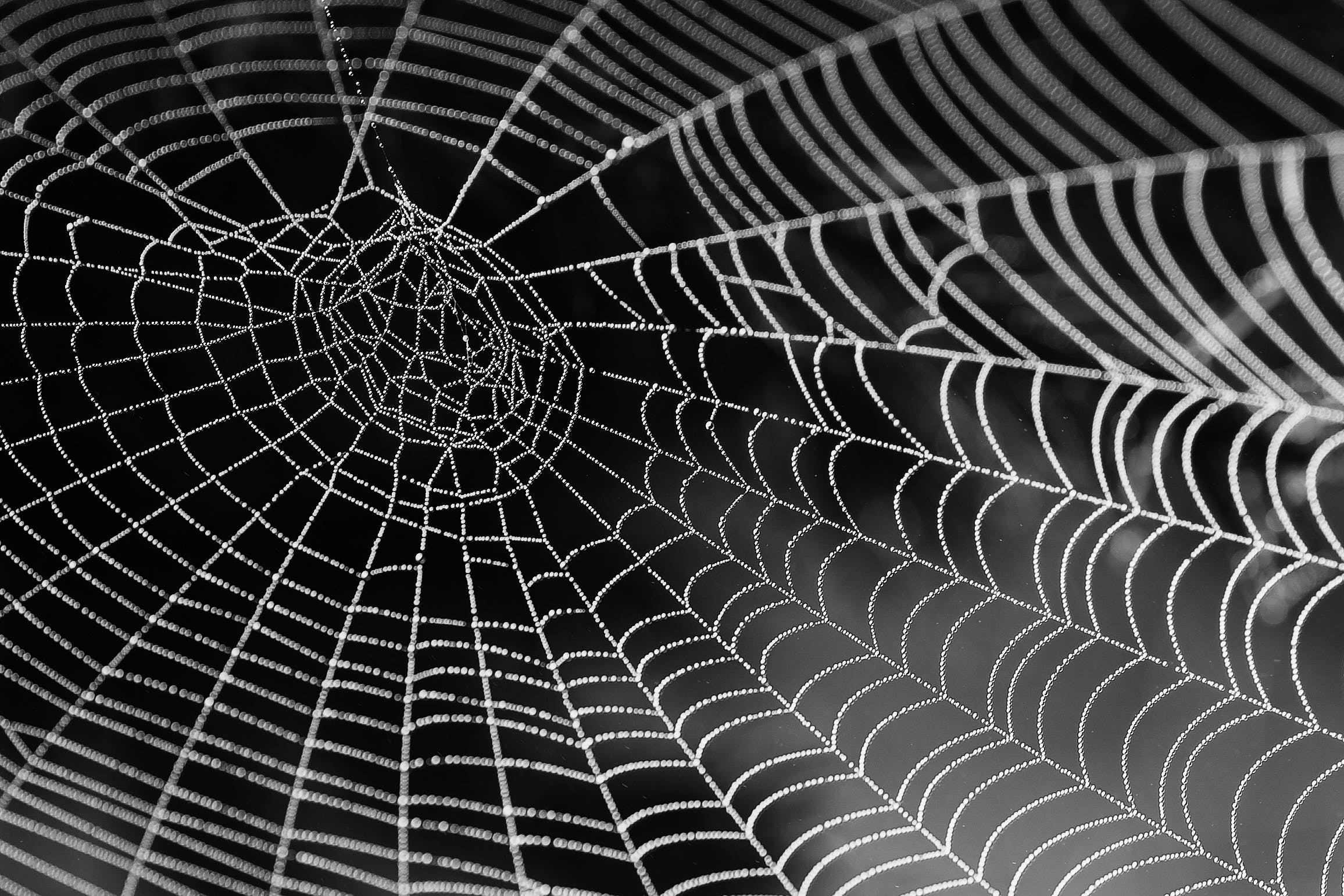 FBI exposes Scattered Spider’s alliance with notorious ransomware gang