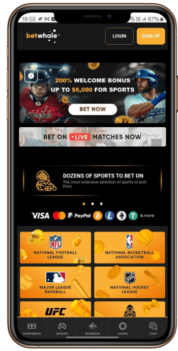 Visit Your Chosen Sportsbook