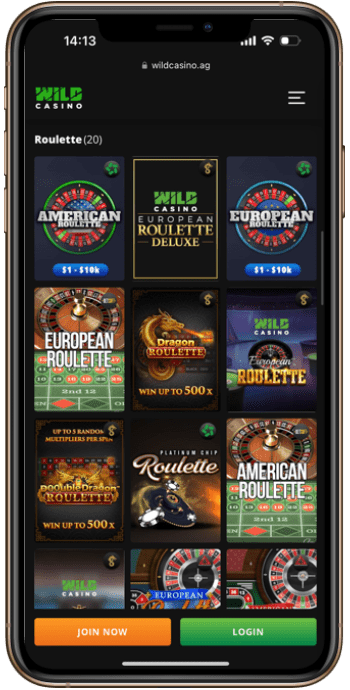 Wild Casino Roulette