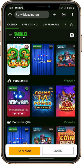 Wild Casino Online