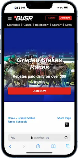 Georgia Sports Betting at BUSR