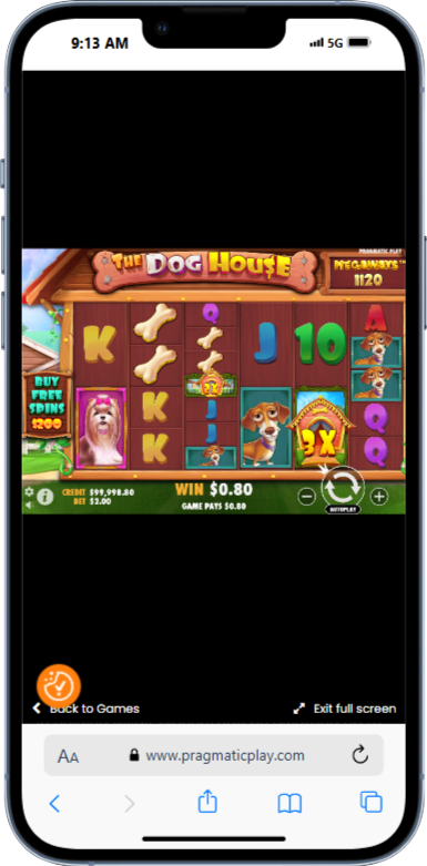 Pragmatic Play Slots Dog House Megaways