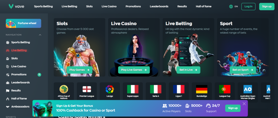 Vave features a list of event-related references for its die-hard bettors on the Sources of Information page. 