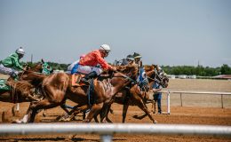 Image of horse racing, including jockeys, at a racecourse / Flutter Entertainment announces extension of partnership with French brand Pari Mutuel Urbain (PMU)