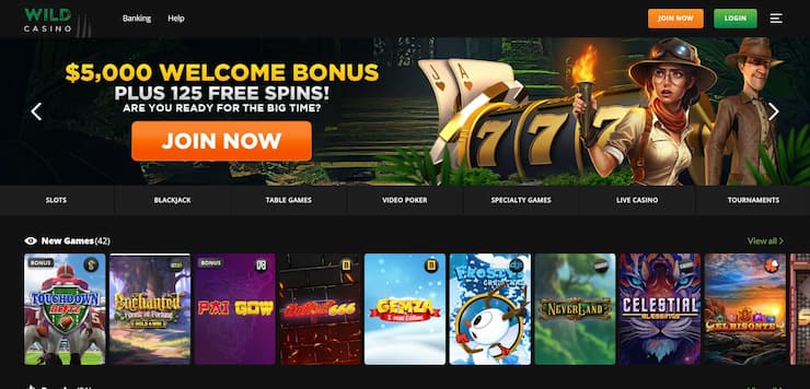 Wild Casino homepage - Highest payout casinos