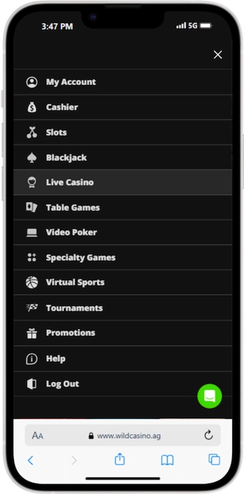 American Express Casinos
